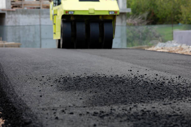 Best Residential Paver Driveway  in Lake Zurich, IL